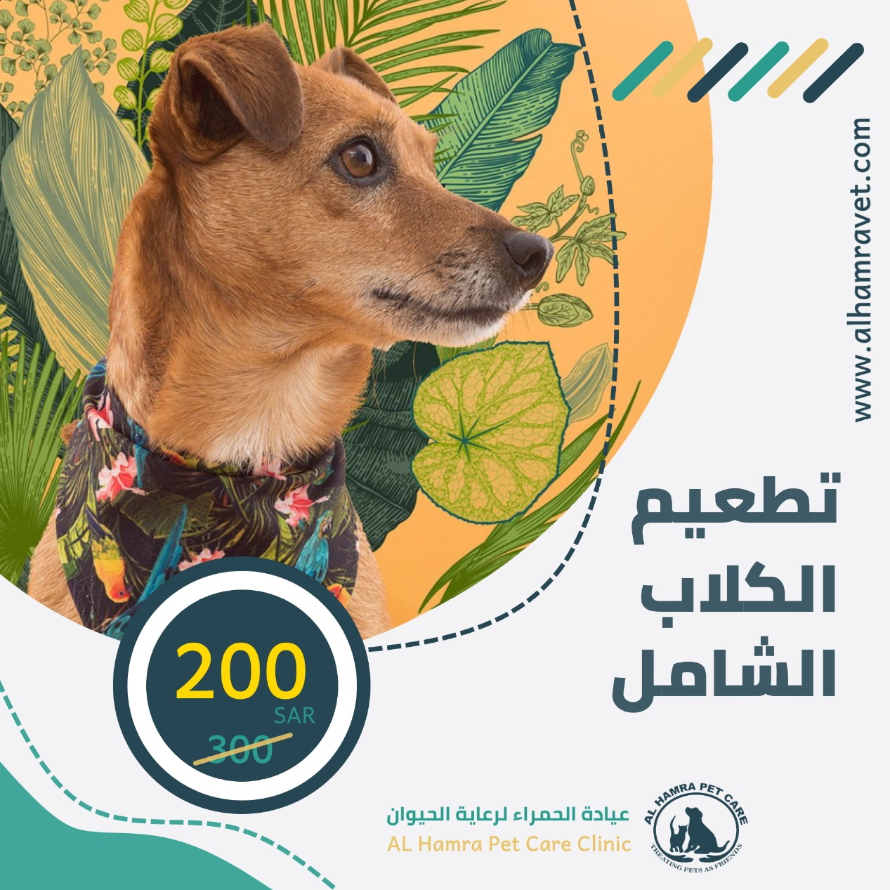 Al Hamra Pet Care Clinic